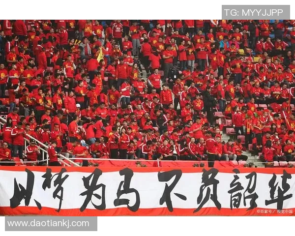 汇聚全球足球明星的盛会共同见证足球的魅力与激情